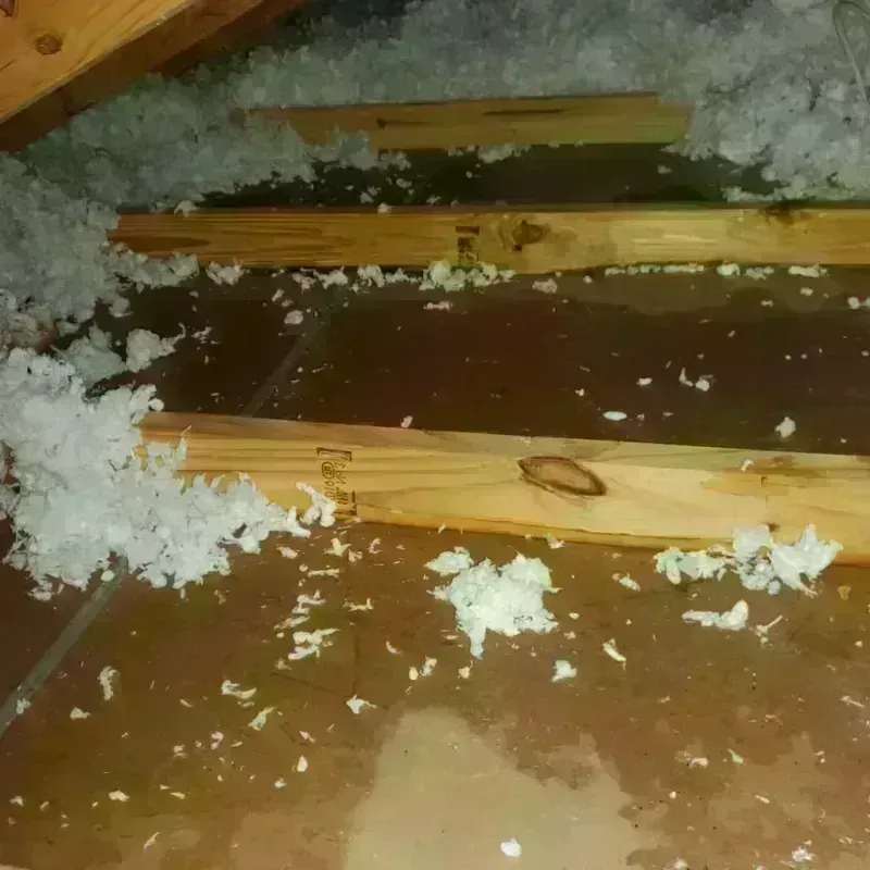 Attic Water Damage in Granite Falls, MN