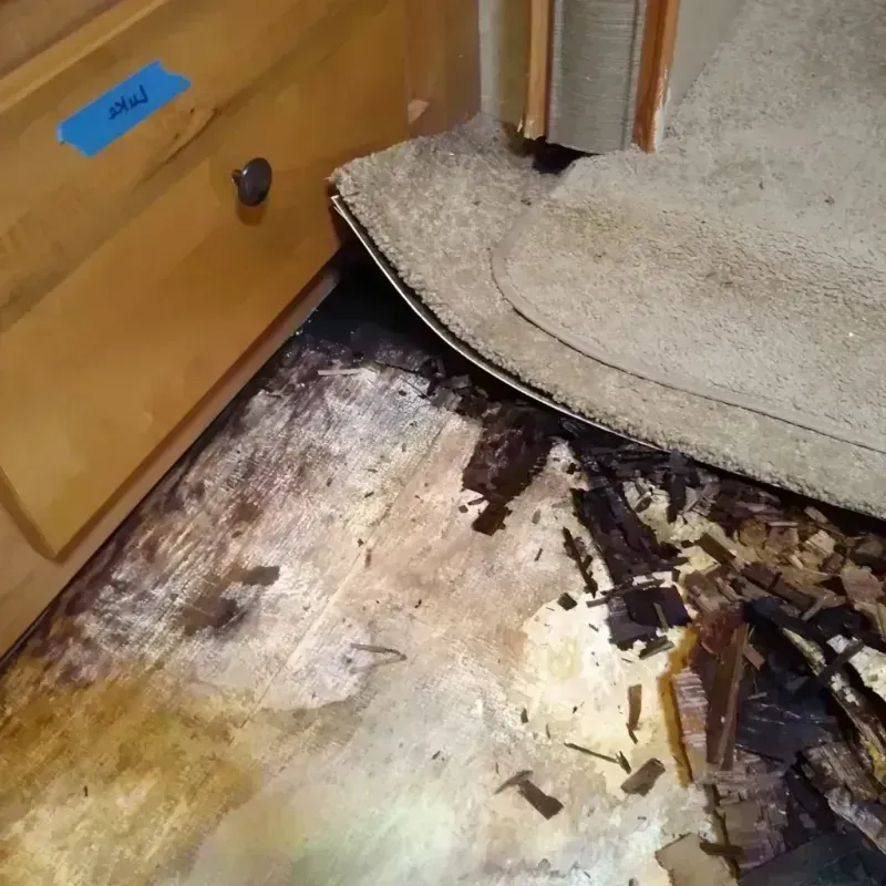 Best Wood Floor Water Damage Service in Granite Falls, MN